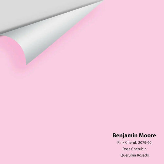 Big Paint Chip - Pink Cherub 2079-60