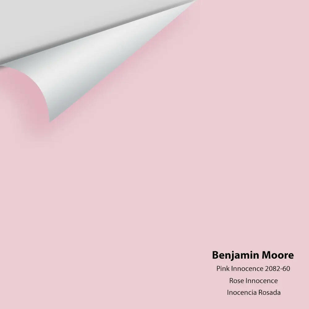 Big Paint Chip - Pink Innocence 2082-60