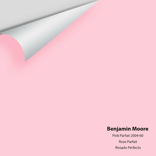 Big Paint Chip - Pink Parfait 2004-60