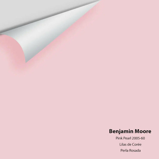 Big Paint Chip - Pink Pearl 2005-60