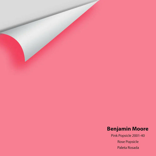 Big Paint Chip - Pink Popsicle 2001-40