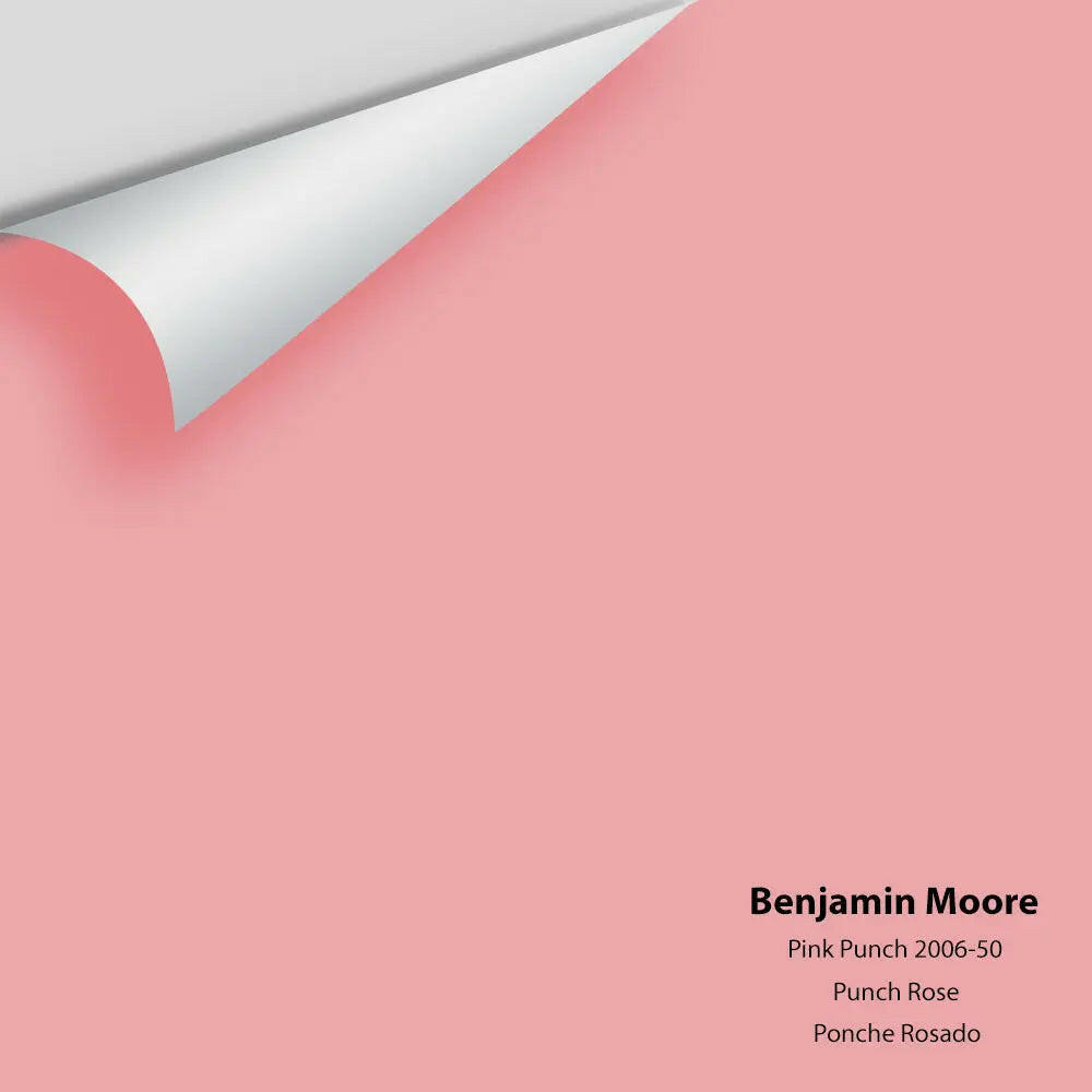 Big Paint Chip - Pink Punch 2006-50