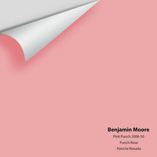 Big Paint Chip - Pink Punch 2006-50