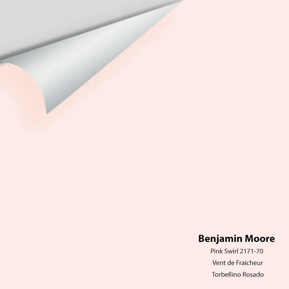 Big Paint Chip - Pink Swirl 2171-70