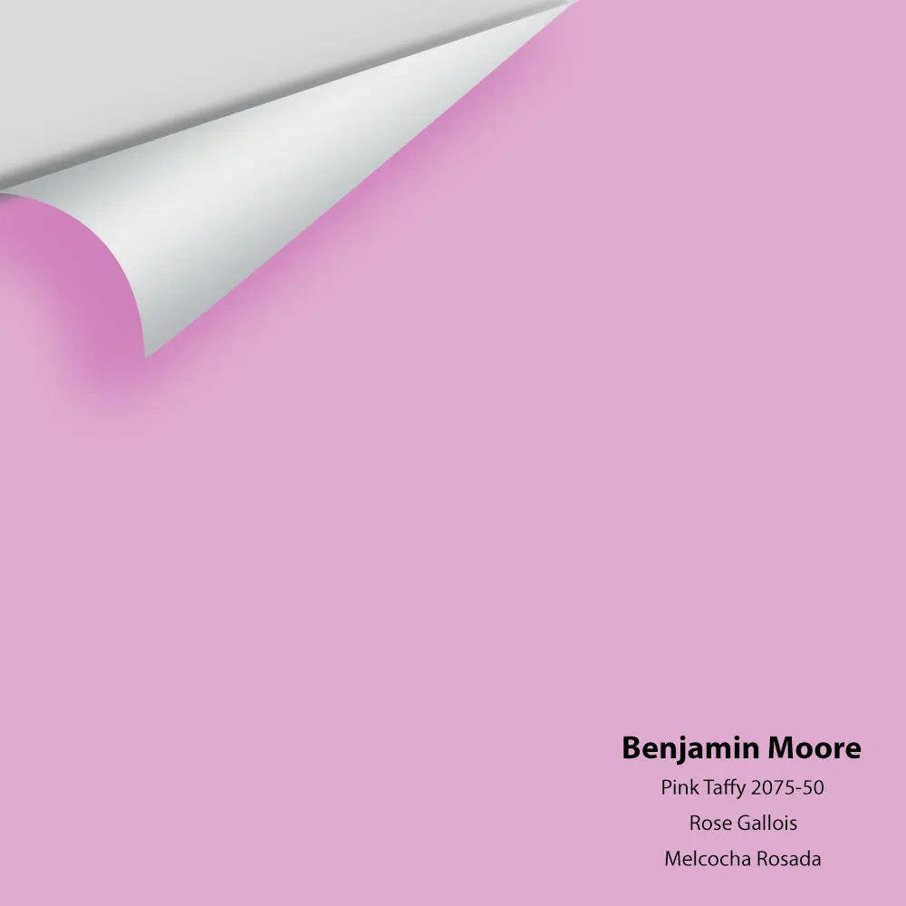 Big Paint Chip - Pink Taffy 2075-50