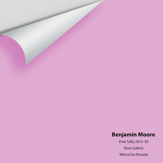 Big Paint Chip - Pink Taffy 2075-50