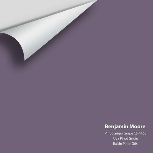 Big Paint Chip - Pinot Grigio Grape CSP-460