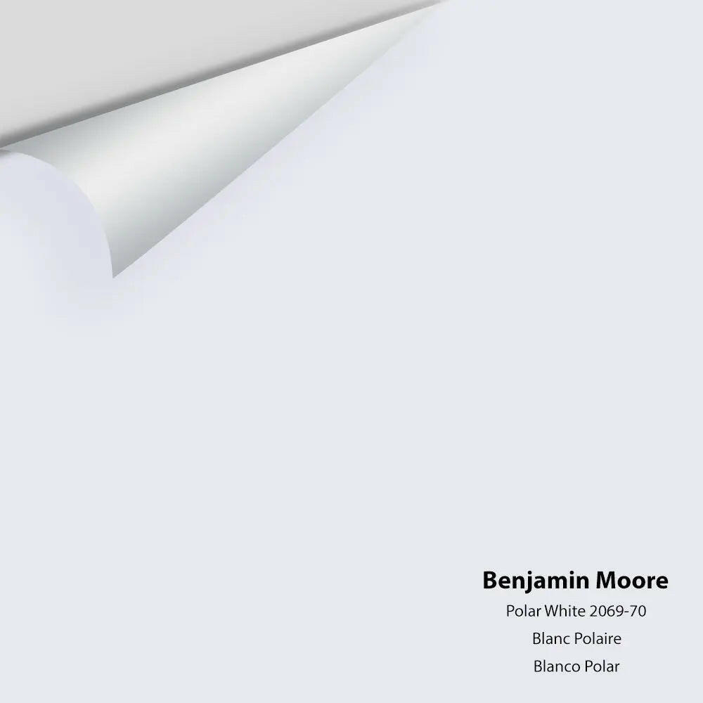 Big Paint Chip - Polar White 2069-70