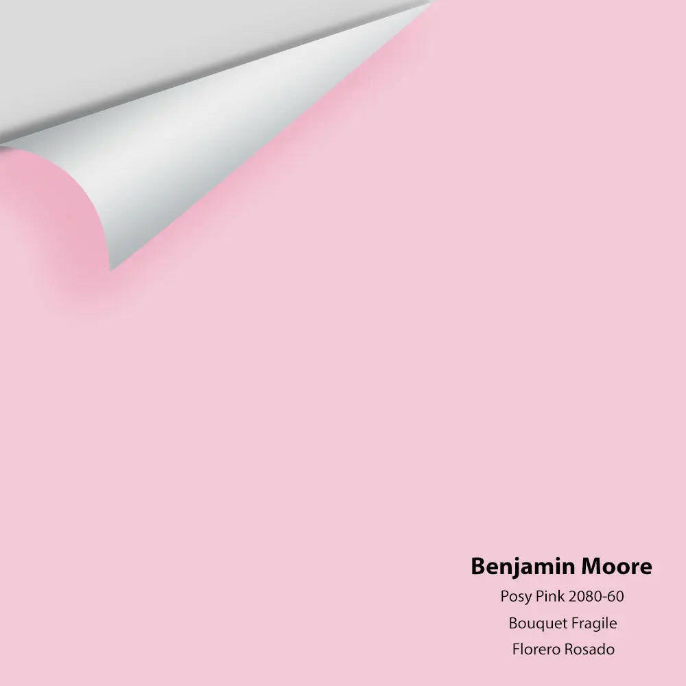 Big Paint Chip - Posy Pink 2080-60