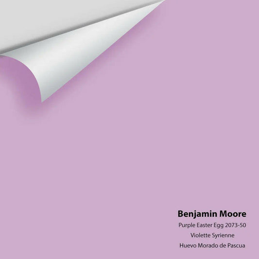 Big Paint Chip - Purple Easter Egg 2073-50