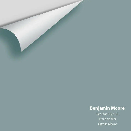 Big Paint Chip - Sea Star 2123-30