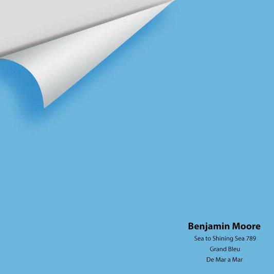 Big Paint Chip - Sea to Shining Sea 789