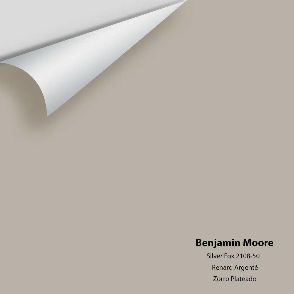 Benjamin Moore - Silver Fox 2108-50 Colour Sample