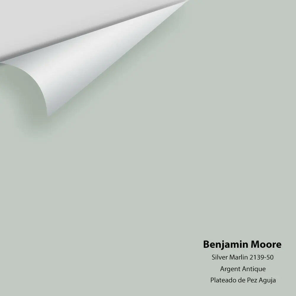 Big Paint Chip - Silver Marlin 2139-50