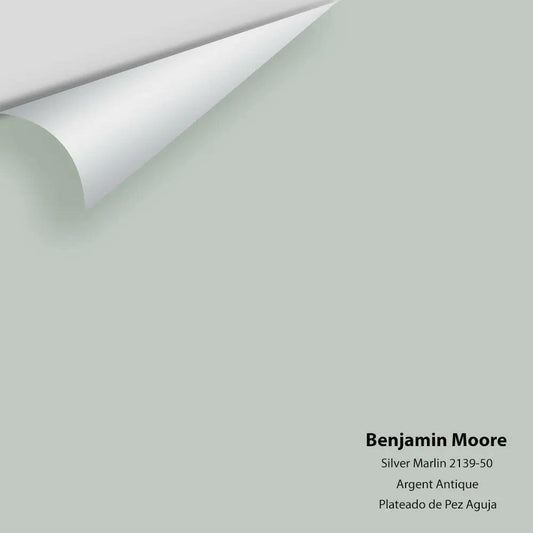 Big Paint Chip - Silver Marlin 2139-50