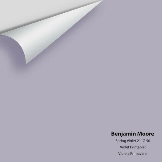 Big Paint Chip - Spring Violet 2117-50