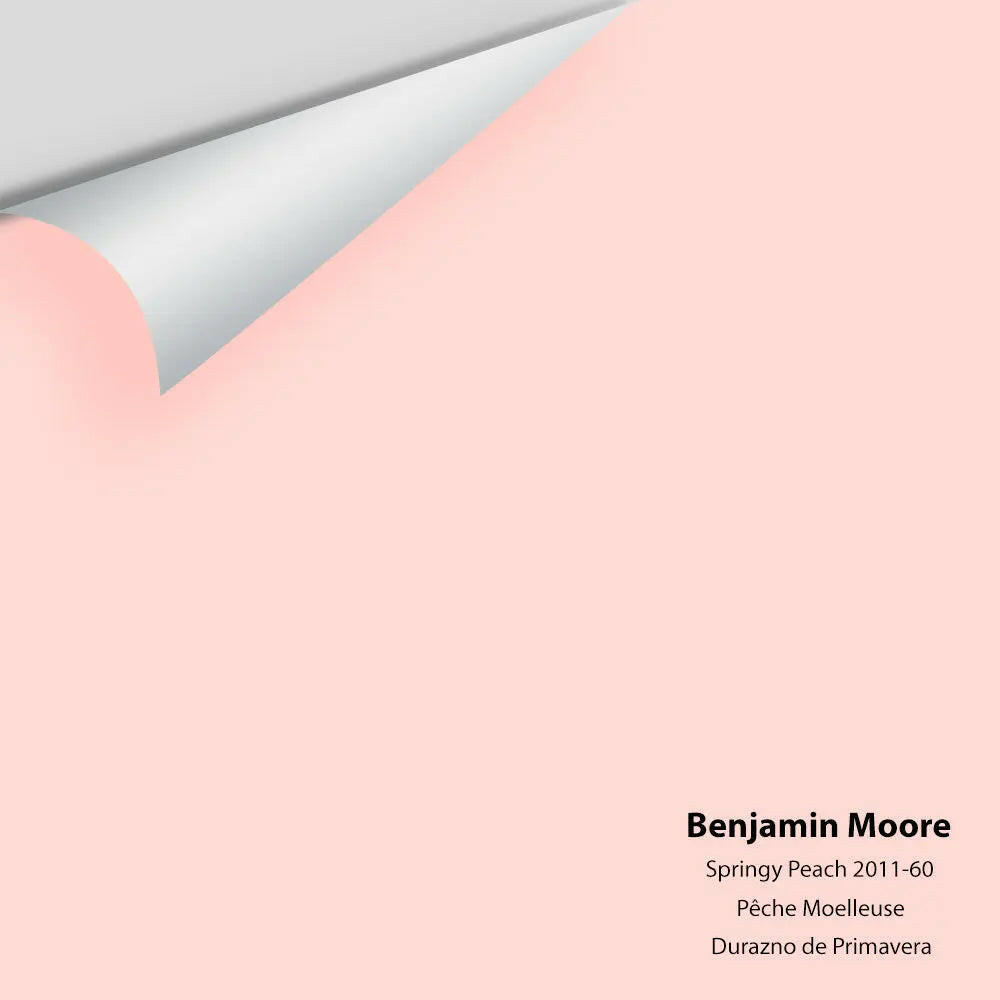Big Paint Chip - Springy Peach 2011-60