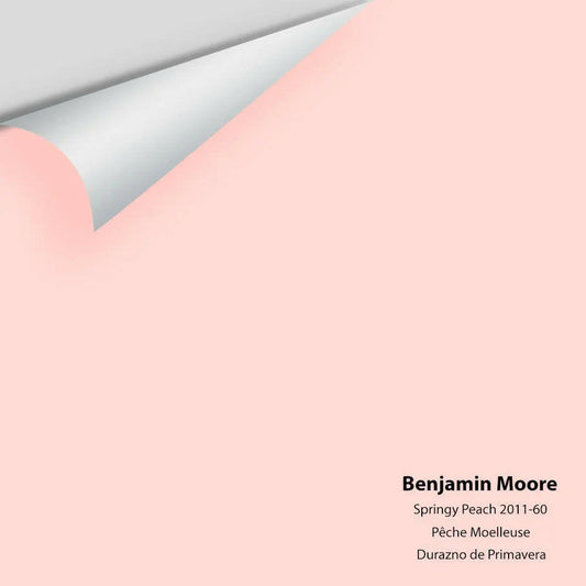 Big Paint Chip - Springy Peach 2011-60