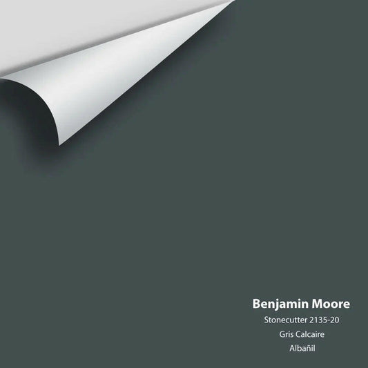 Big Paint Chip - Stonecutter 2135-20