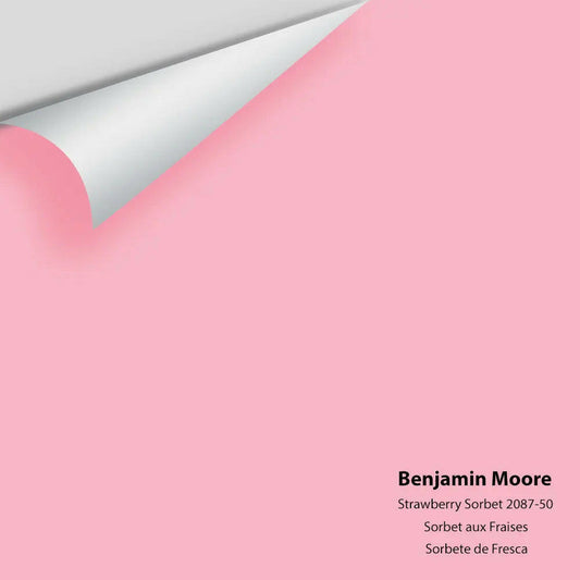 Big Paint Chip - Strawberry Sorbet 2087-50