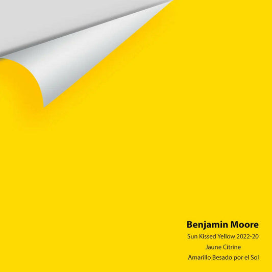 Big Paint Chip - Sun Kissed Yellow 2022-20