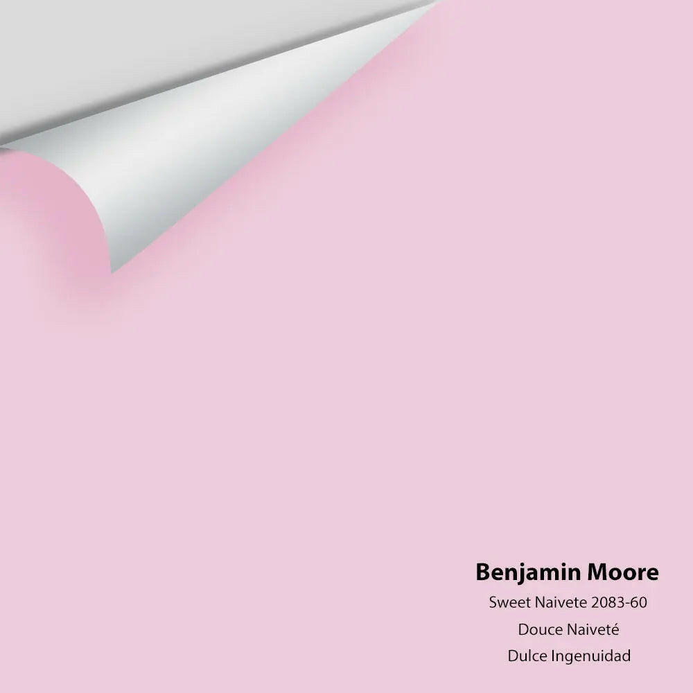 Big Paint Chip - Sweet Naivete 2083-60
