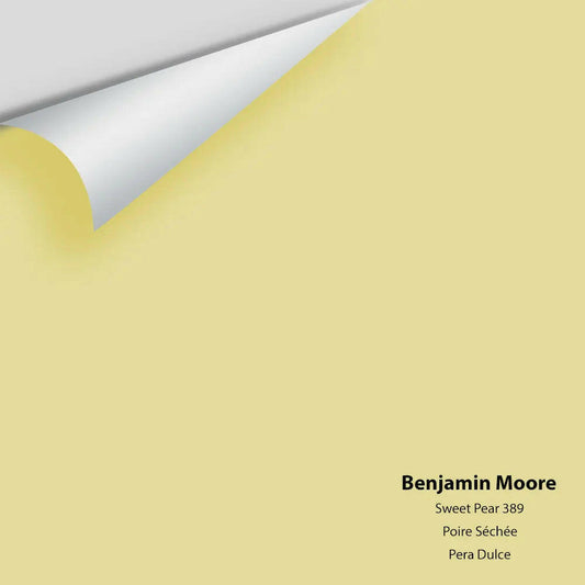Big Paint Chip - Sweet Pear 389