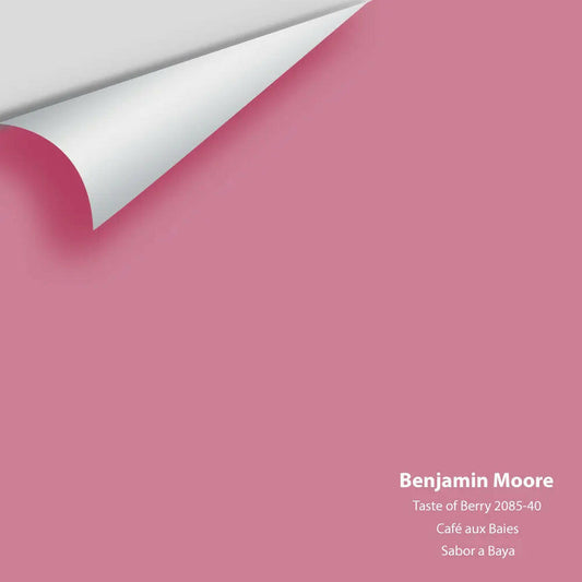 Big Paint Chip - Taste of Berry 2085-40