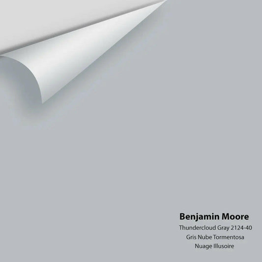 Benjamin Moore - Thundercloud Gray 2124-40 Colour Sample