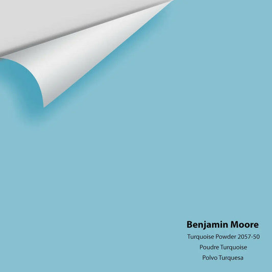 Big Paint Chip - Turquoise Powder 2057-50