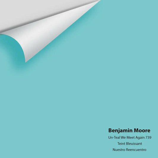Big Paint Chip - Un-Teal We Meet Again 739
