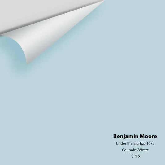 Benjamin Moore - Under the Big Top 1675 Colour Sample