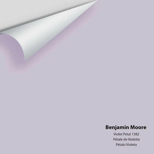 Big Paint Chip - Violet Petal 1382