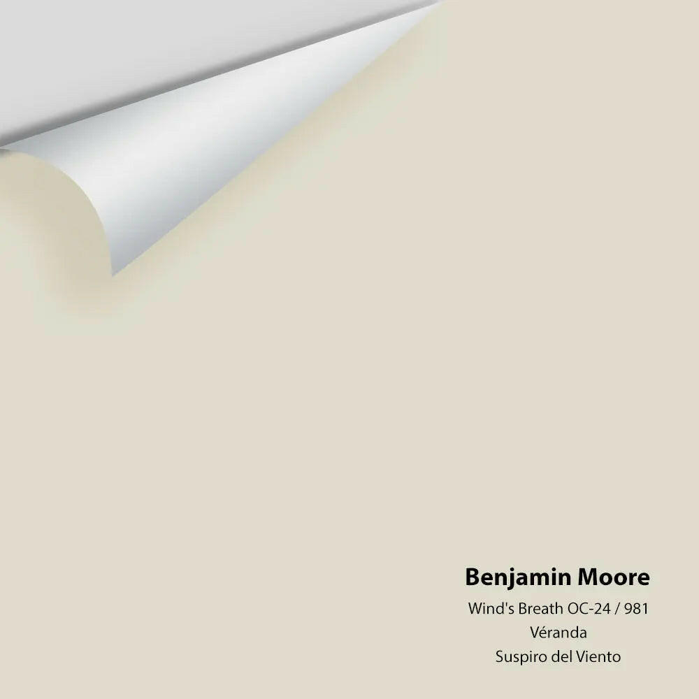 Benjamin Moore - Wind's Breath 981 / OC-24 Colour Sample