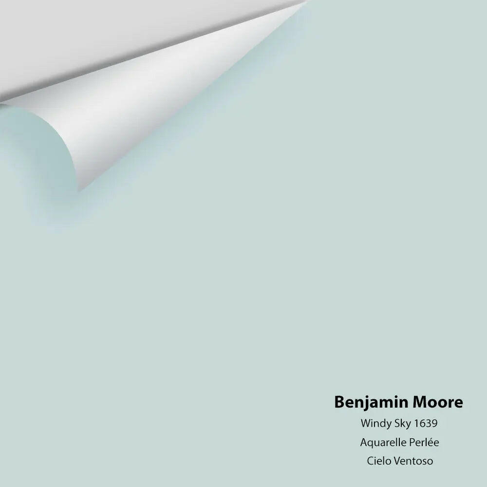 Benjamin Moore - Windy Sky 1639 Colour Sample