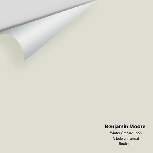 Benjamin Moore - Winter Orchard 1555 Colour Sample