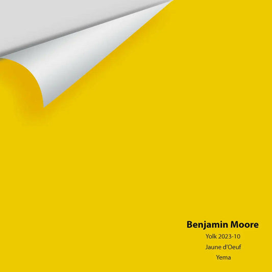 Big Paint Chip - Yolk 2023-10