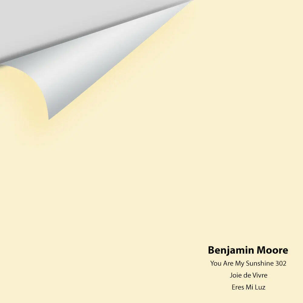 Benjamin Moore - You Are My Sunshine 302 Colour Sample
