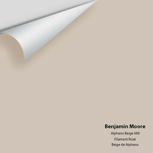 Big Paint Chip - Alphano Beige 989