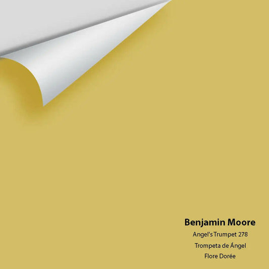 Big Paint Chip - Angel's Trumpet 278