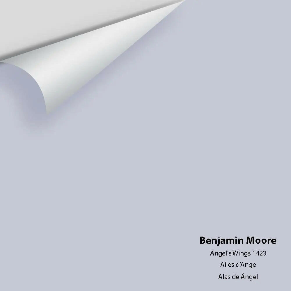 Big Paint Chip - Angel's Wings 1423