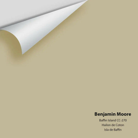 Big Paint Chip - Baffin Island 243 / CC-270