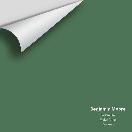 Big Paint Chip - Balsam 567
