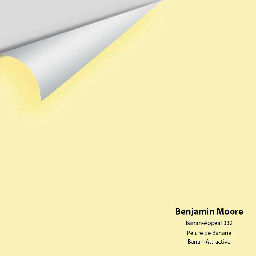 Big Paint Chip - Banan-Appeal 332