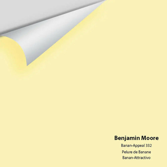 Big Paint Chip - Banan-Appeal 332