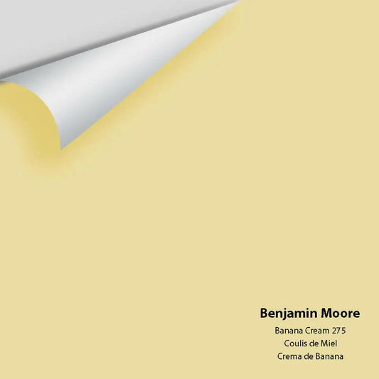 Big Paint Chip - Banana Cream 275