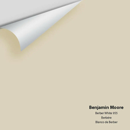 Benjamin Moore - Berber White 955 Colour Sample