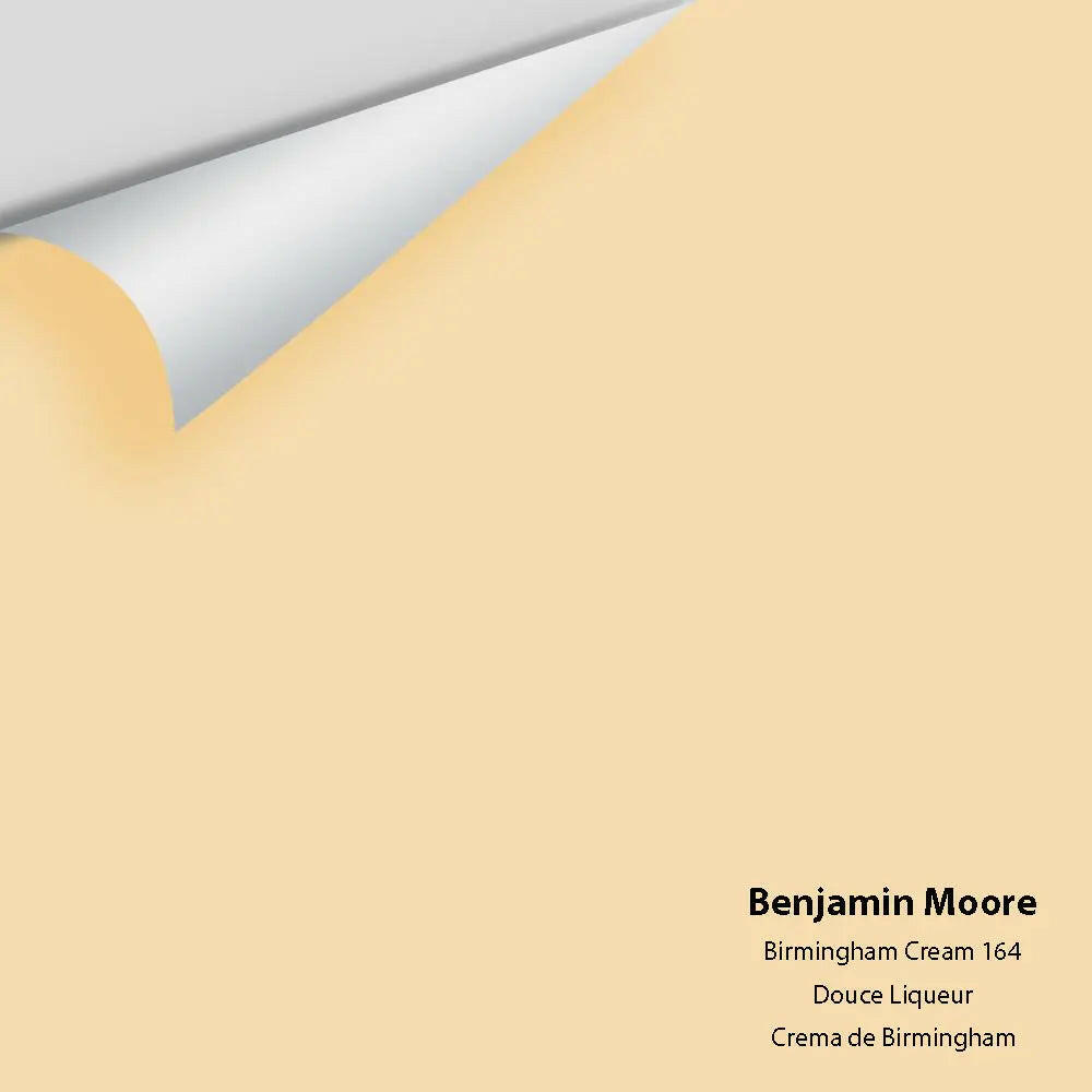 Big Paint Chip - Birmingham Cream 164