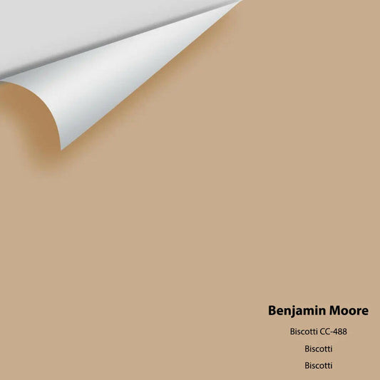 Big Paint Chip - Biscotti CC-488