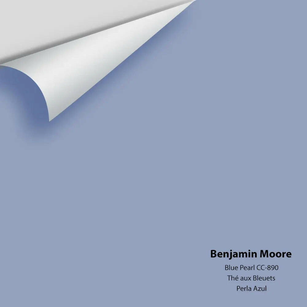 Big Paint Chip - Blue Pearl 1433 / CC-890